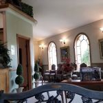 Alligator Pediatric Dentistry