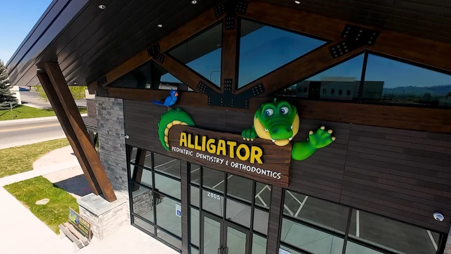 Alligator Pediatric Dentistry 2