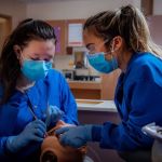 Coral Pointe Dental & Orthodontics