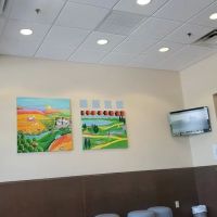 Dentistry For Children ico