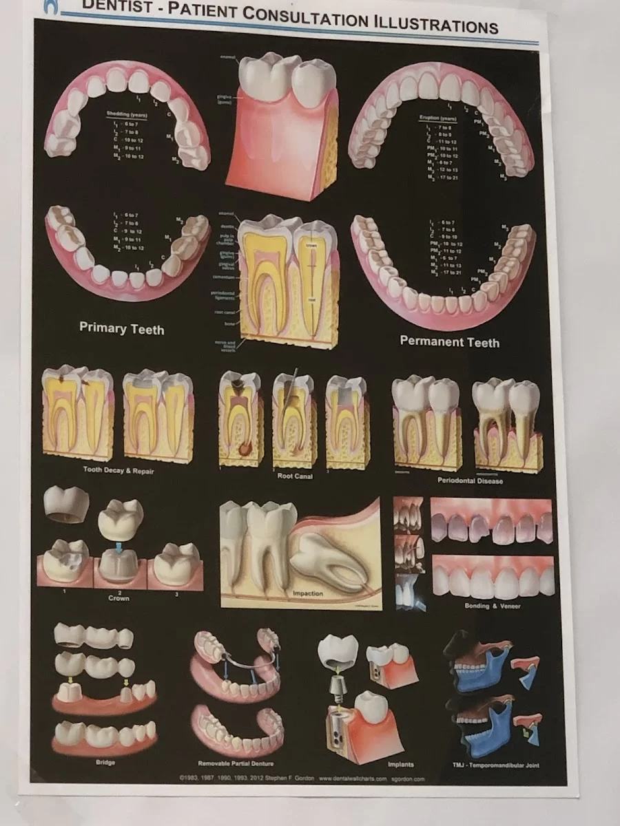 Dental Dreams-Cermak 6