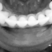 Studio Dental-Pulaski ico