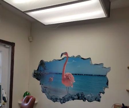 Dr. Fleer Orthodontics