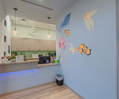 Dr. Braden Michaud, DDS