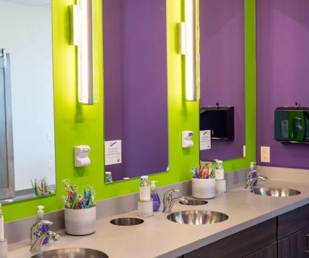Veil & Wild Orthodontics