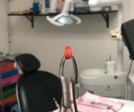 Clínica Dental Funnydent ( Dentistas en Matamoros )