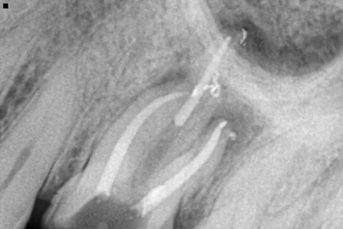 New Age Dental Picture 4
