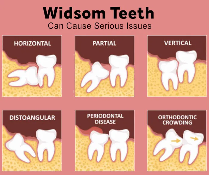 Mentor Dental Arts 3