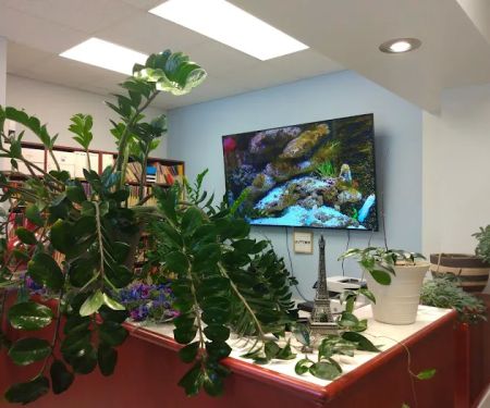 Aden Dental