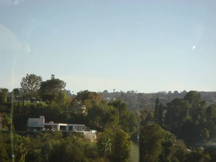 Encino Dream Smile Picture 6
