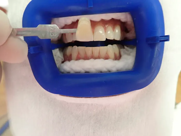 Studio City Dental Arts Picture 6