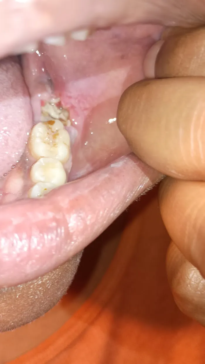 Hudec Dental 8