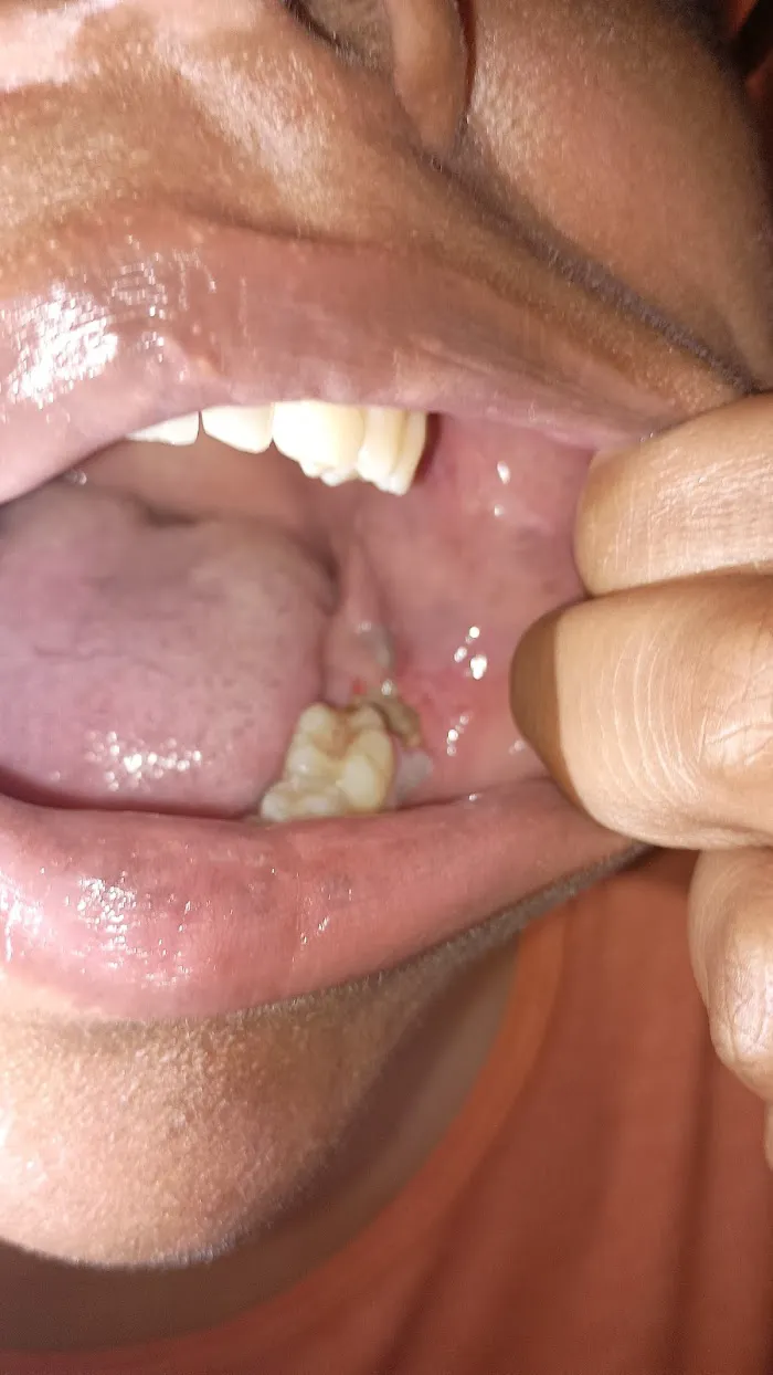 Hudec Dental 7