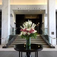 Beverly Hills Dental Arts | Dr Anjali A Rajpal | Dentist ico