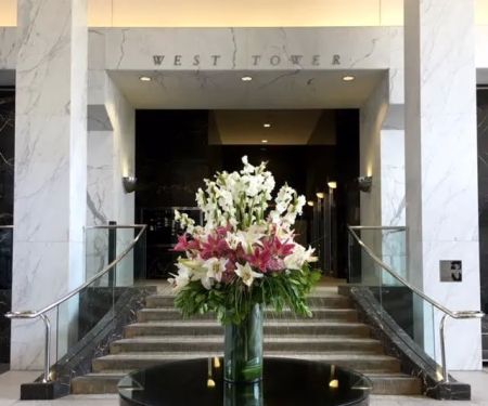 Beverly Hills Dental Arts | Dr Anjali A Rajpal | Dentist