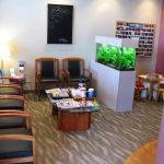 Midwest Dental - St Louis