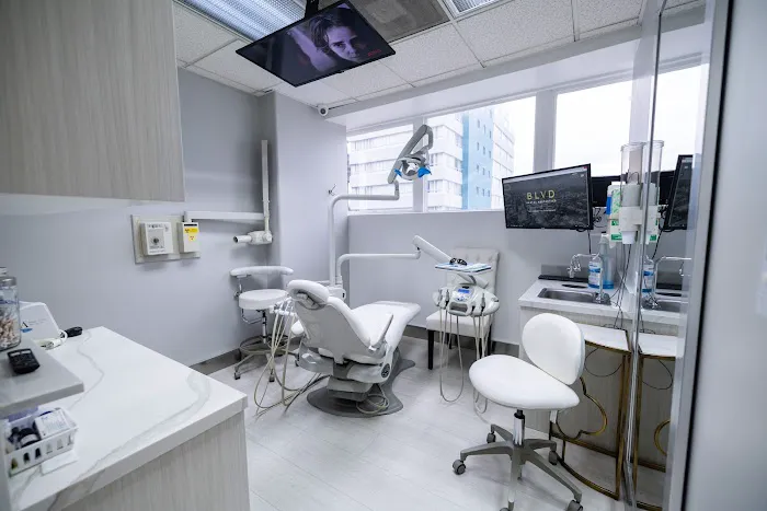BLVD Dental Aesthetics 9