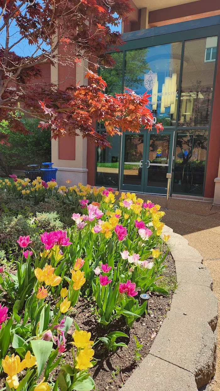 Saint Louis University - Center for Advanced Dental Education 9