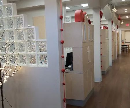 Willow Family Dentistry