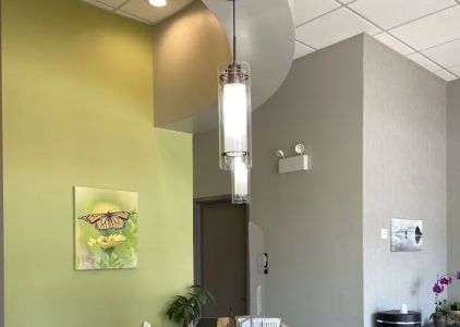 DentArt Chicago