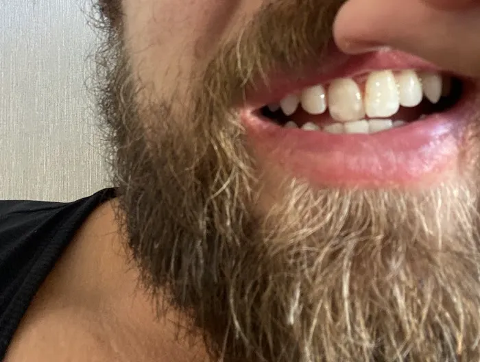DentArt Chicago 5