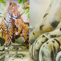 Adventure Dental and Orthodontics - Santa Clarita ico
