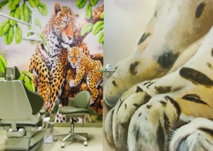 Adventure Dental and Orthodontics - Santa Clarita