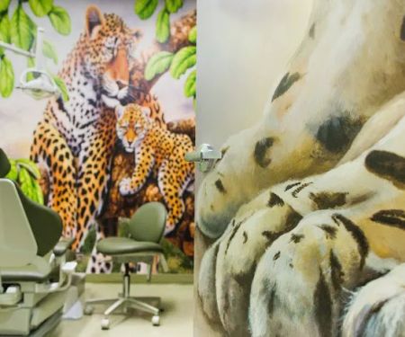 Adventure Dental and Orthodontics - Santa Clarita