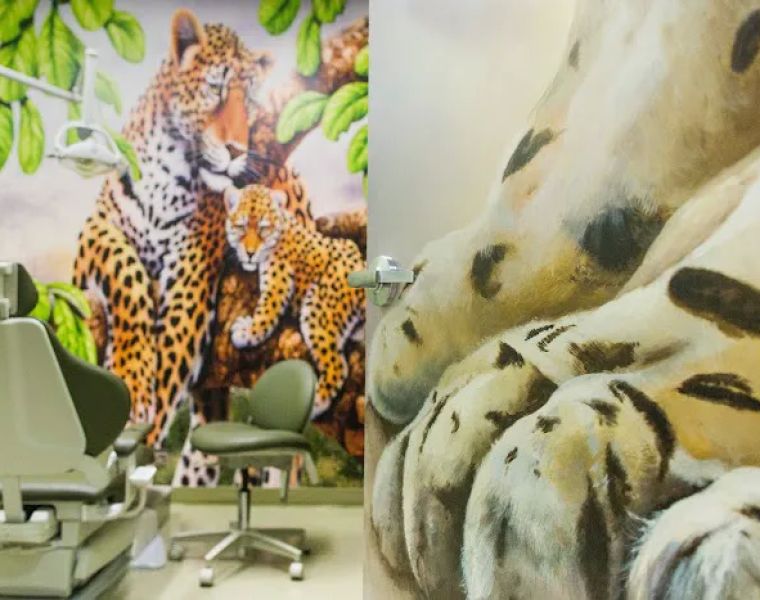 Adventure Dental and Orthodontics - Santa Clarita