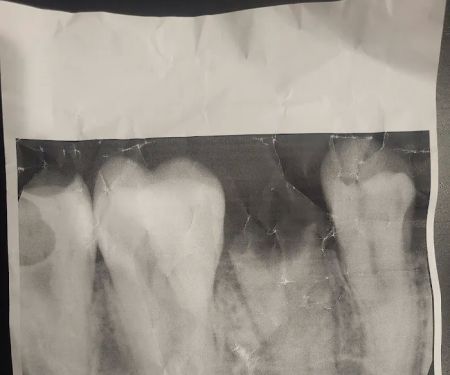 Daniel J. Iannotti, DDS, Inc.
