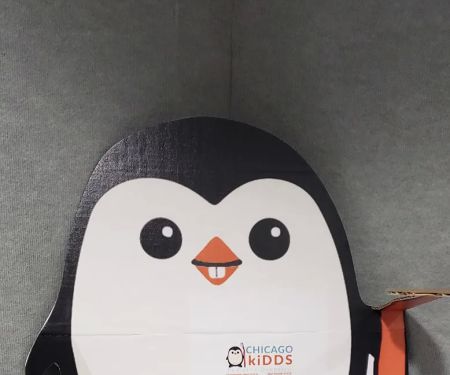 Chicago kiDDS Pediatric Dentistry