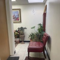 Perfect Dental Smile ico