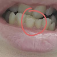 Dr. Damir Mitrovic, DDS ico