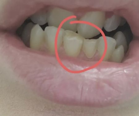 Dr. Damir Mitrovic, DDS