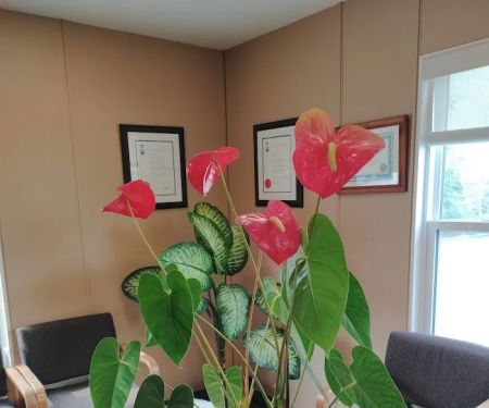 Newcastle Village Dental