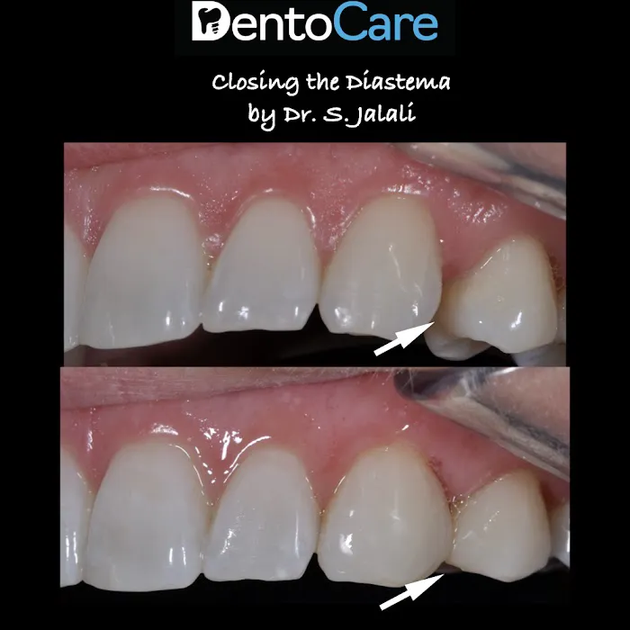 Dentocare Dental 6