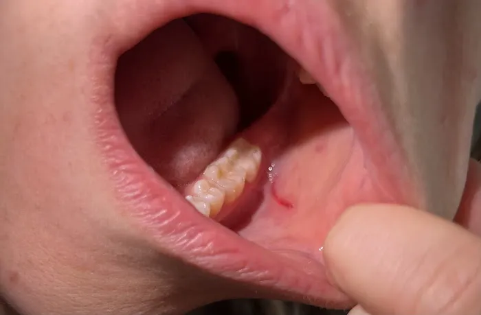 Hamilton Dental 6