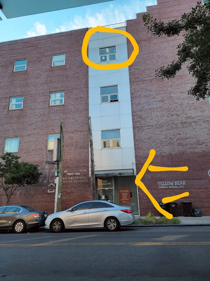 Yellow Bear Pediatric Dentistry, PLLC Picture 9