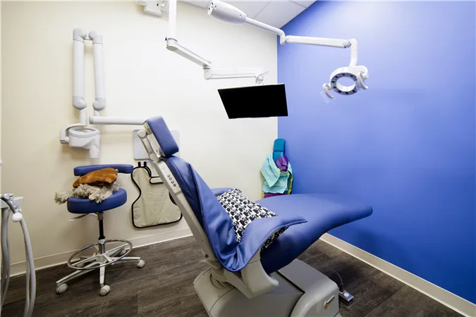 Yellow Bear Pediatric Dentistry, PLLC Picture 2
