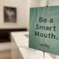Wally Health ico