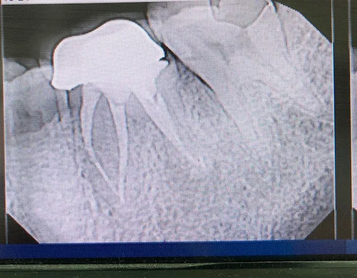 Dental Arts Manhattan Picture 2