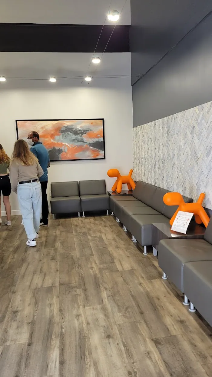 NOVA Pediatric Dentistry & Orthodontics Picture 8