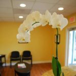 Expressions Dental Care Reston