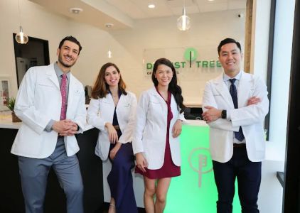 Dentist Tree Of The Heights - Dentist Houston TX | Cosmetic and Emergency Dentist