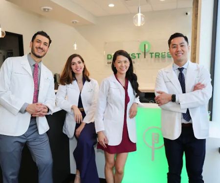 Dentist Tree Of The Heights - Dentist Houston TX | Cosmetic and Emergency Dentist