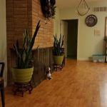 Love Dental, Inc.