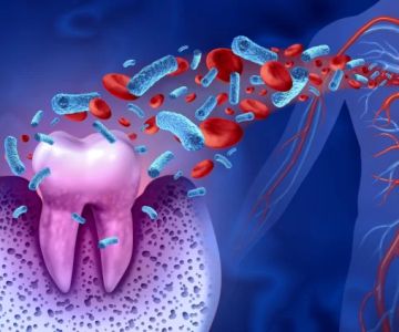 The Connection Between Heart Disease and Gum Disease: How Oral Health Impacts Cardiovascular Health