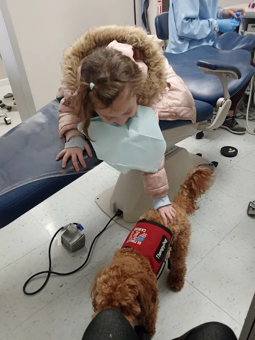 Tree Town Pediatric Dentistry Picture 3