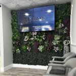 Dent Aid Dentistry