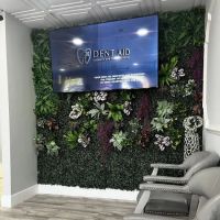 Dent Aid Dentistry ico